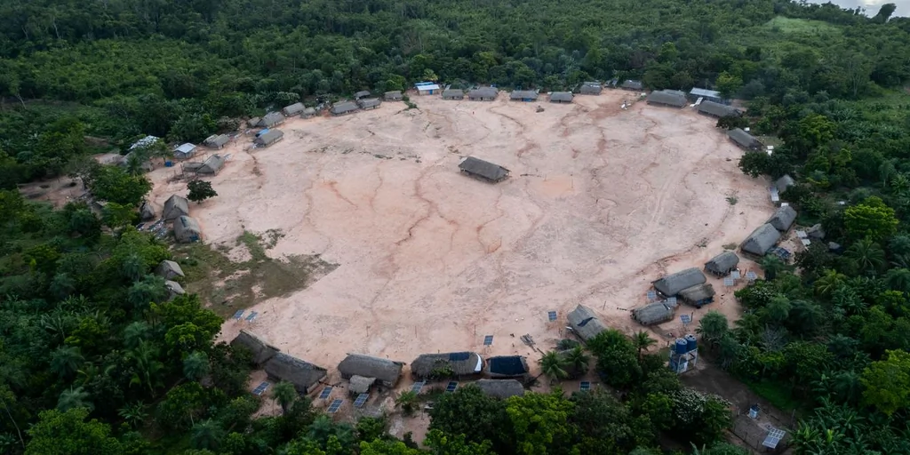 Brésil : La déforestation dans l'Amazonie recule significativement en 2025