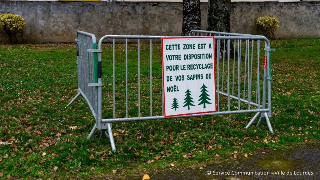 Collecte et recyclage des sapins de Noël dans plusieurs villes