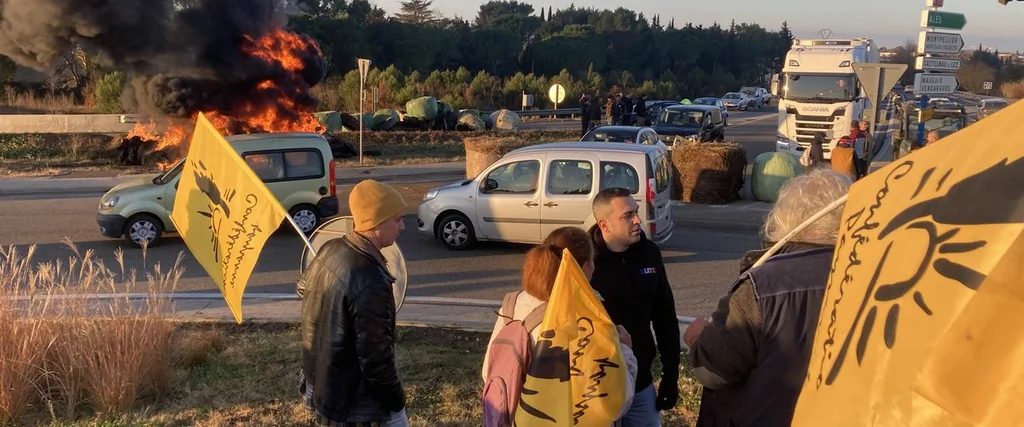 Mobilisation des éleveurs à Montpellier contre la gestion de la dermatose bovine