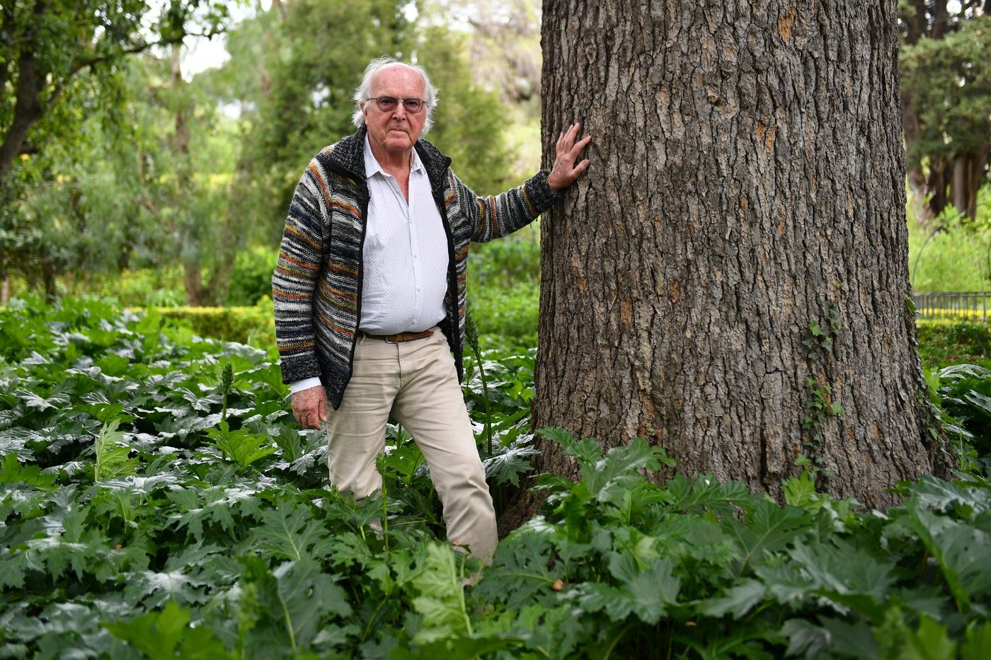 Portrait du botaniste Francis Hallé à Montpellier