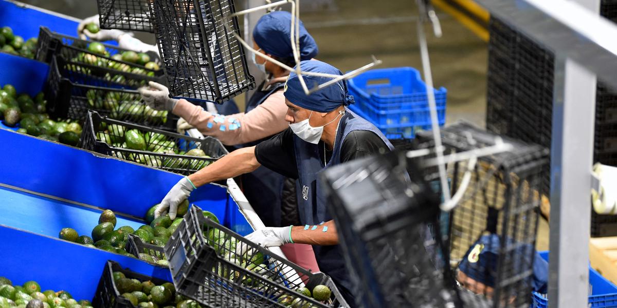 Produits sud-américains soumis à contrôle