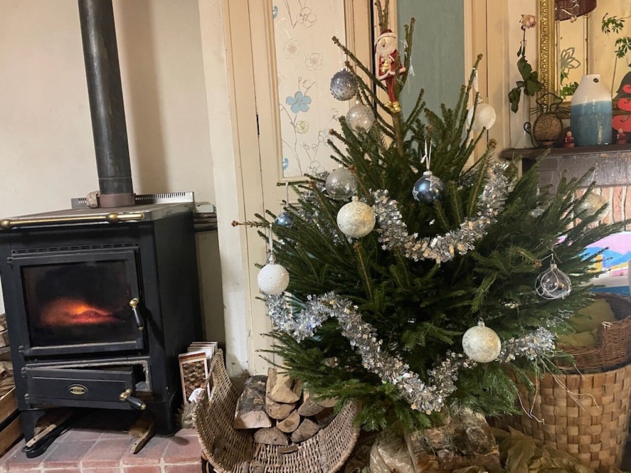 Sapins déposés dans les points de collecte à Veules-les-Roses