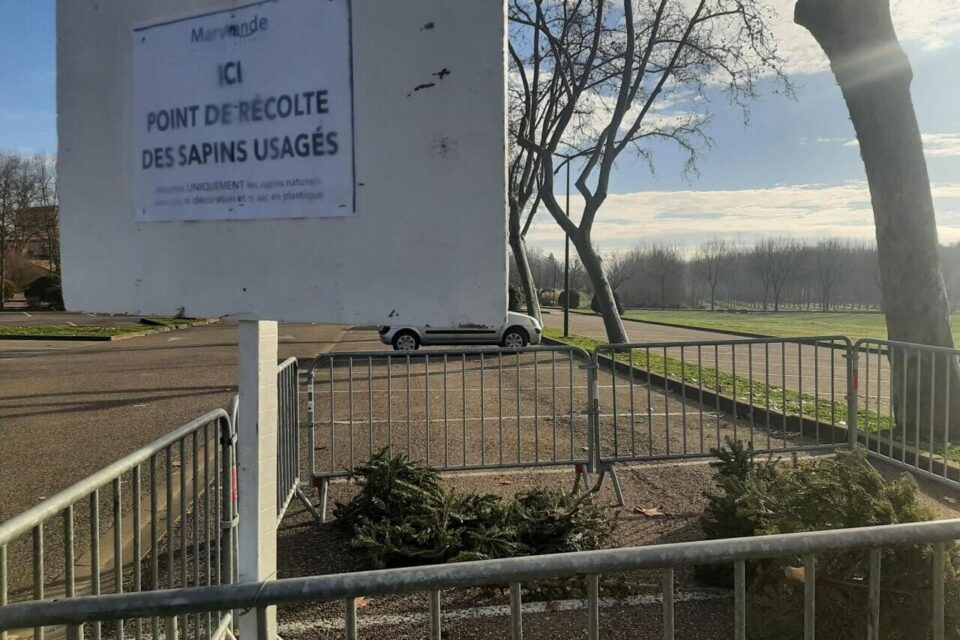 Point de collecte des sapins à Marmande sur le parking de la Filhole