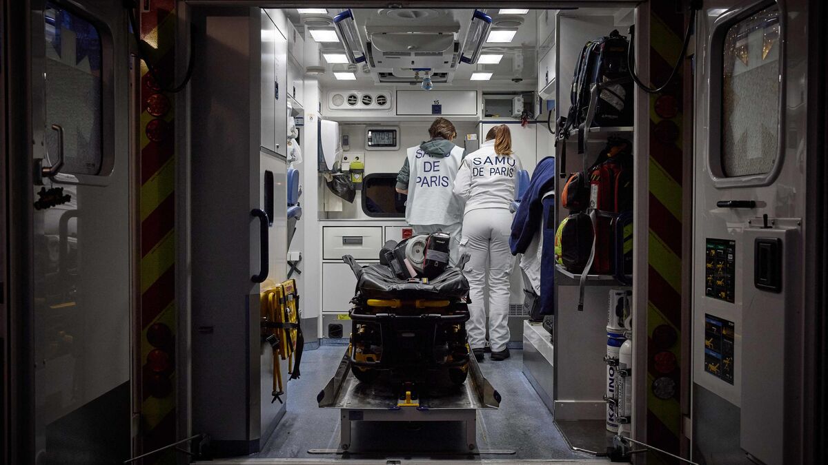 Vue des services d'urgence liés à la grippe à Paris