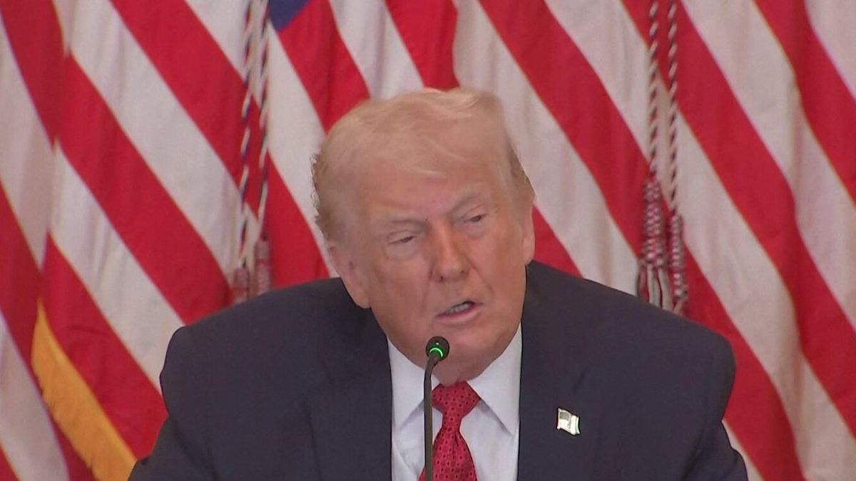 Mission OTAN au Groenland - image Franceinfo