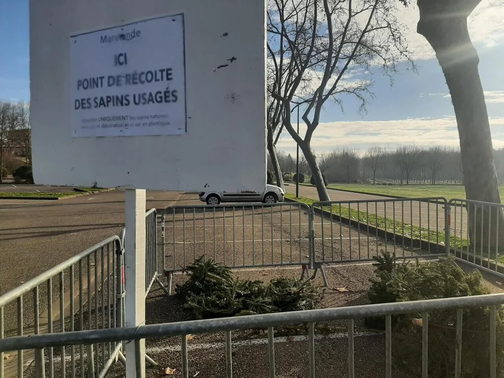 Marmande et Tonneins mettent en place des points de collecte pour les sapins de Noël usagés