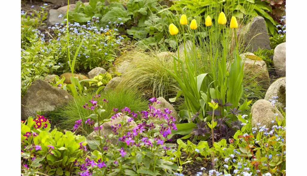 Massif décoratif pour toute l’année : conseils de jardinage