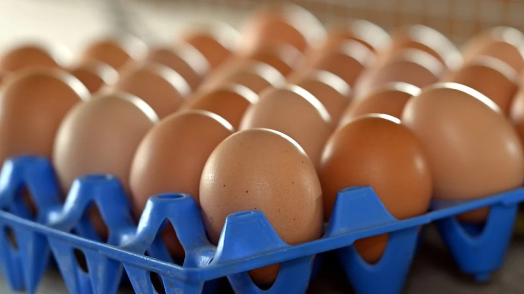 Pénurie d’œufs en France : comment s’approvisionner autrement ?