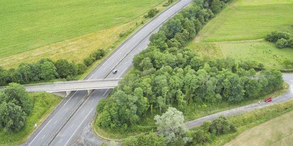 Projet de demi-échangeur à Carresse-Cassaber : les habitants invités à s'exprimer