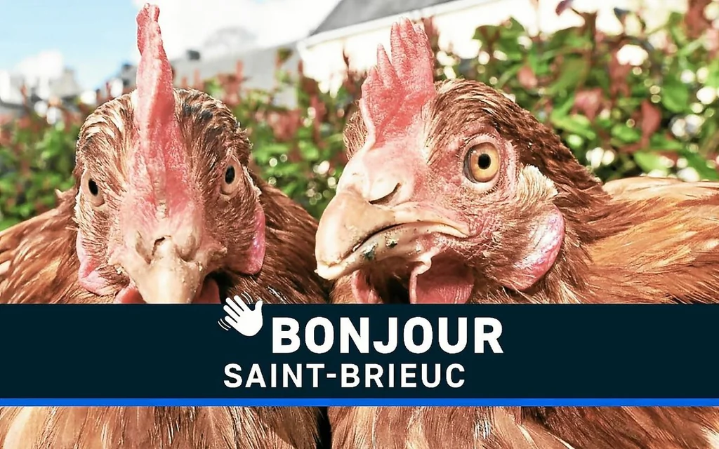 Saint-Brieuc : grève des régulateurs du Samu et hausse du prix de l’eau