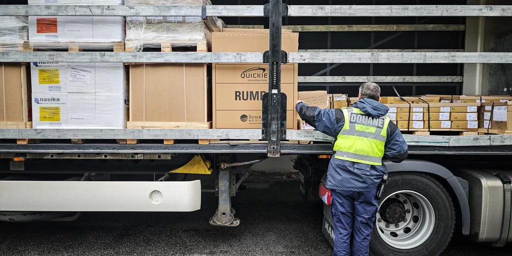 Saisie de 185 kg de lambis en Martinique, mollusque protégé