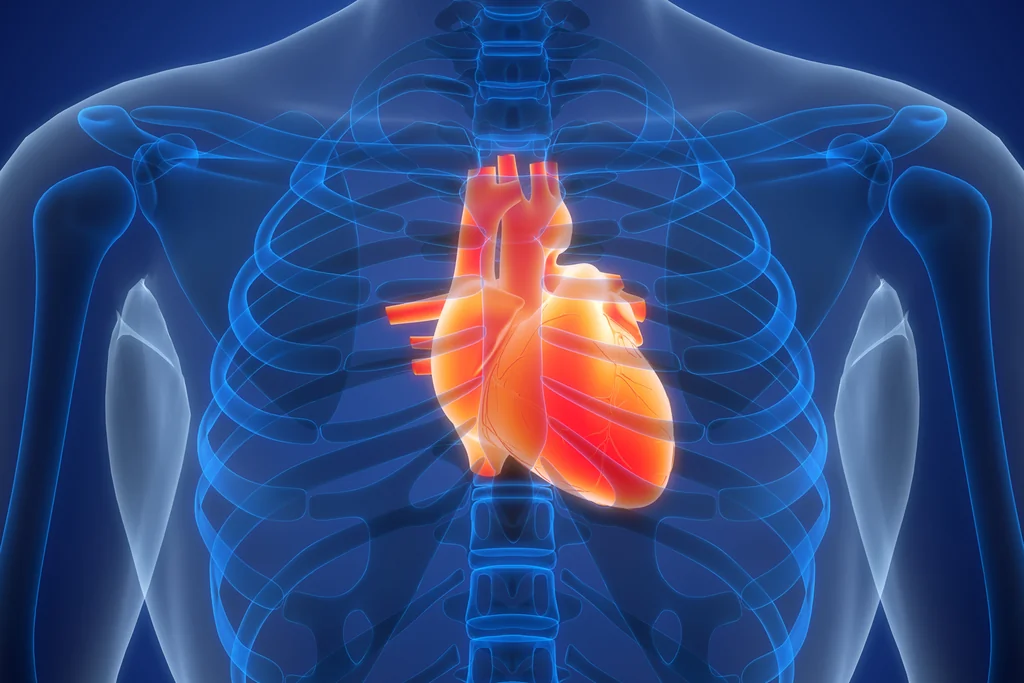 8 habitudes quotidiennes qui nuisent à votre cœur et comment les éviter