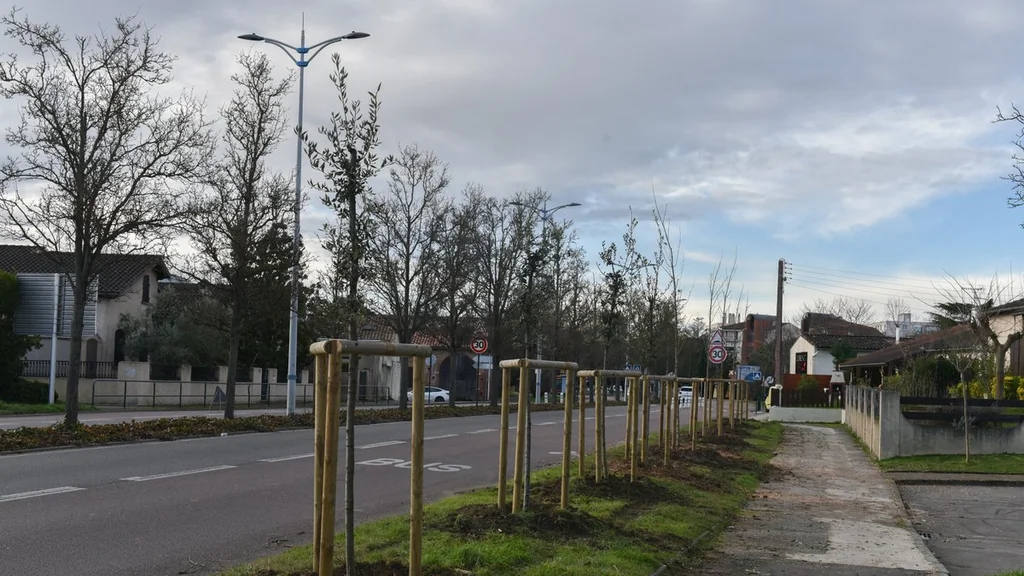 Colomiers : un boulevard repensé face aux défis climatiques