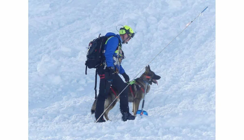 Hautes-Alpes: un raquettiste tué par une avalanche à Cervières