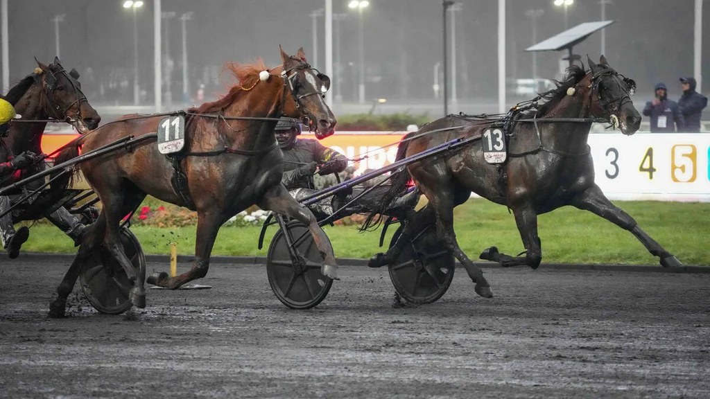 Hokkaido Jiel s’impose au Prix d’Amérique 2026