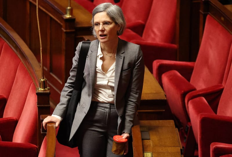 La députée Ecologiste Sandrine Rousseau, à l Assemblée nationale, le 26 janvier 2026