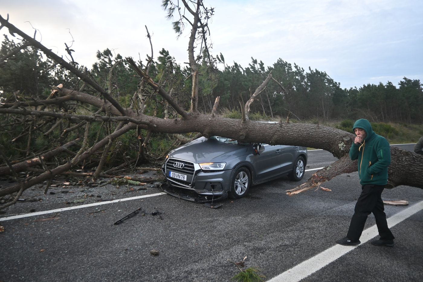 Arbre tombé sur un véhicule lors de Kristin au Portugal