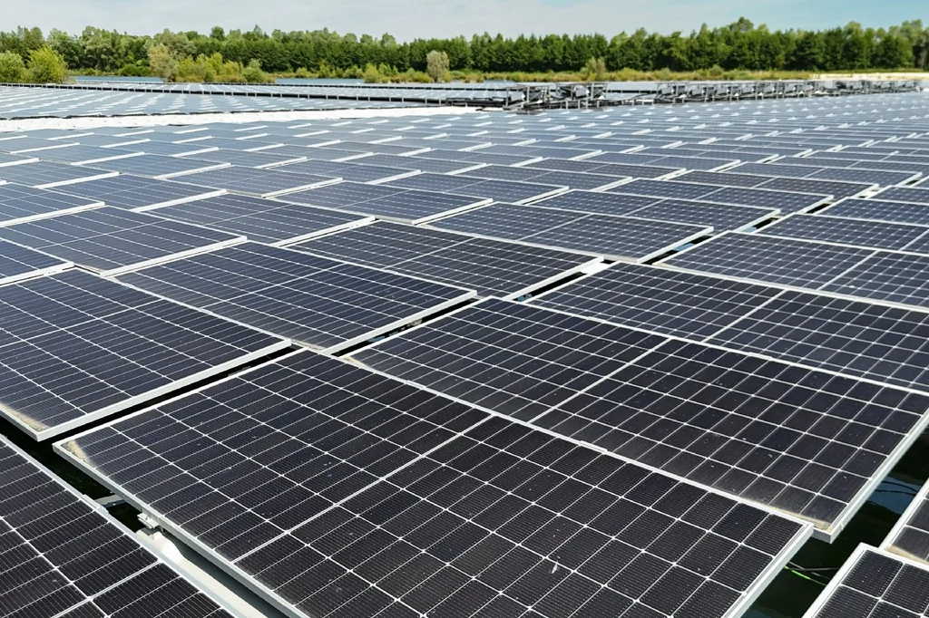 Les renouvelables dépassent les fossiles en Europe en 2025, selon Ember