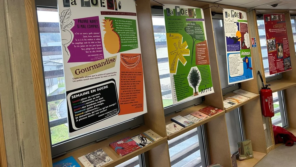 Nuits de la lecture : programme varié dans les bibliothèques