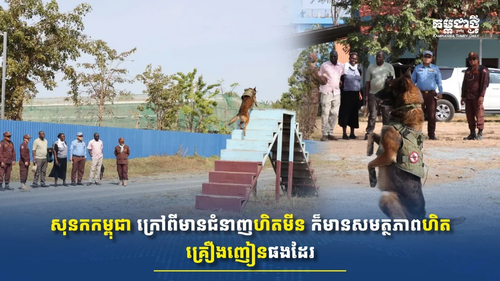 Renforcement des capacités en déminage au Cambodge avec JICA et CMAC