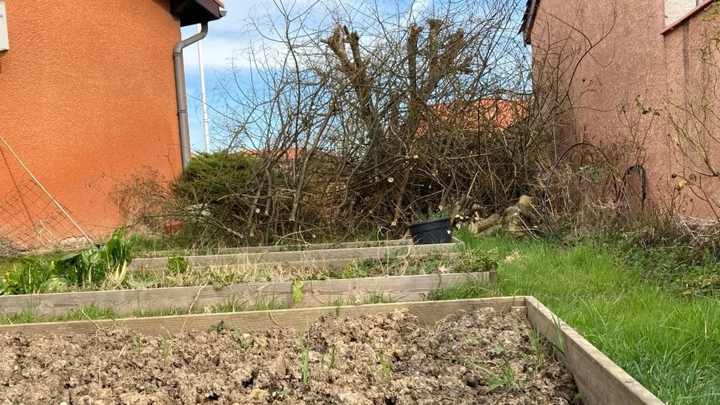 Jardinage post-hivernal : ateliers pour semer, tailler et bouturer à Tournefeuille