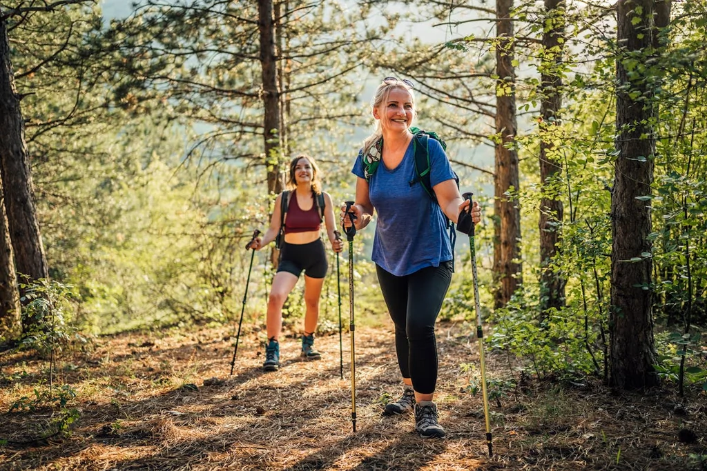 Les bâtons de randonnée : un atout santé indispensable