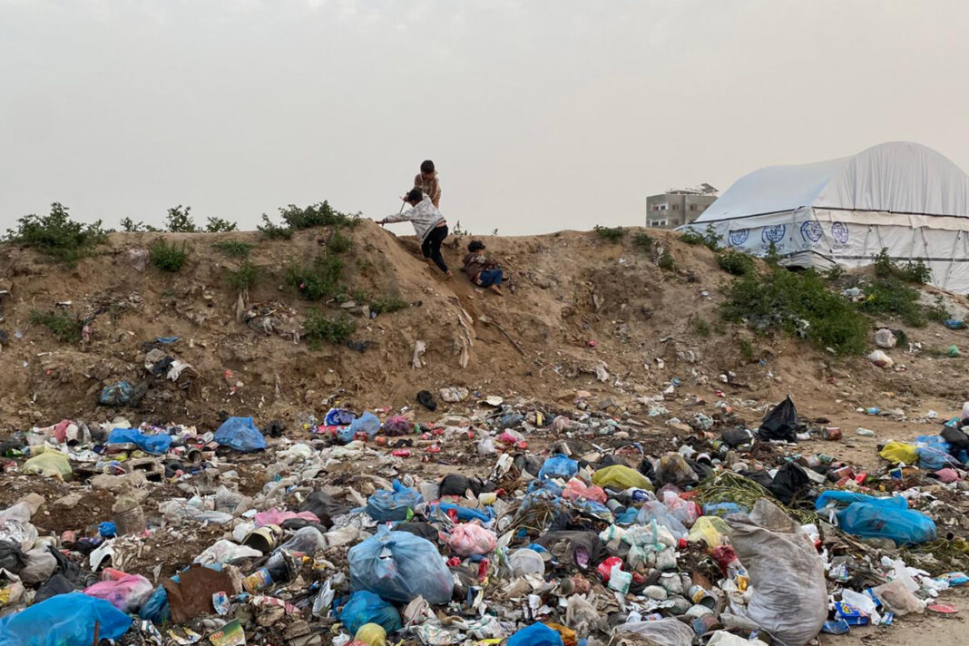 Gaza : invasion de rongeurs et insectes, alerte sanitaire
