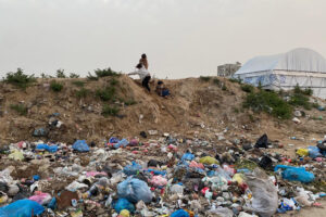 Gaza : invasion de rongeurs et insectes, alerte sanitaire