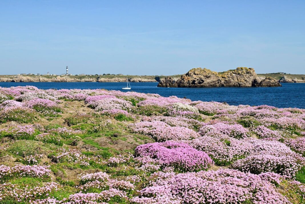 Le littoral français sévèrement contaminé par pesticides et médicaments