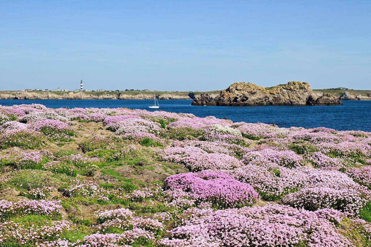 Le littoral français sévèrement contaminé par pesticides et médicaments