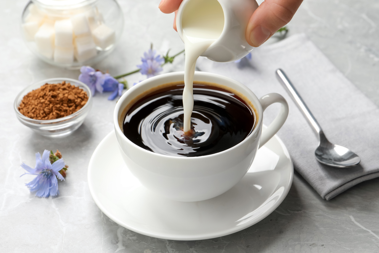 Remplacez le café par la chicorée pour perdre 5 kg en un mois