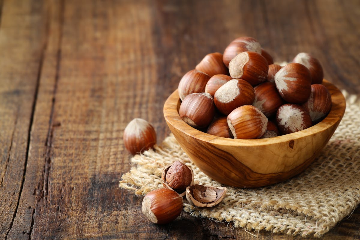 Comment conserver vos noisettes : astuces et conseils